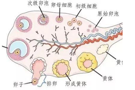 微信截图_20210526161102.png