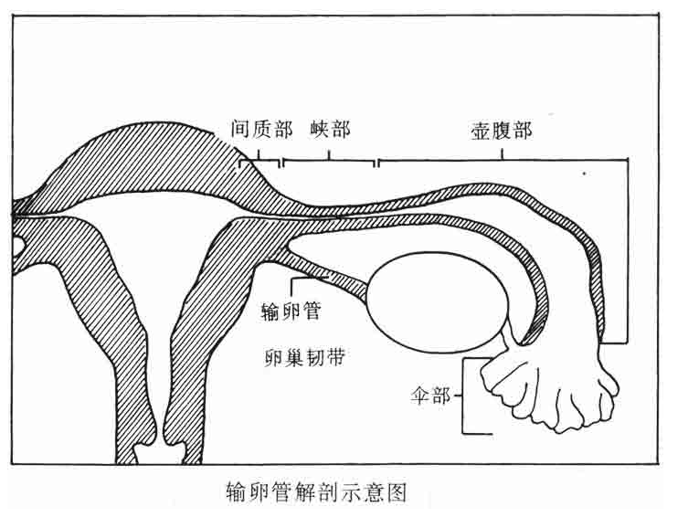 微信截图_20210722111300.png