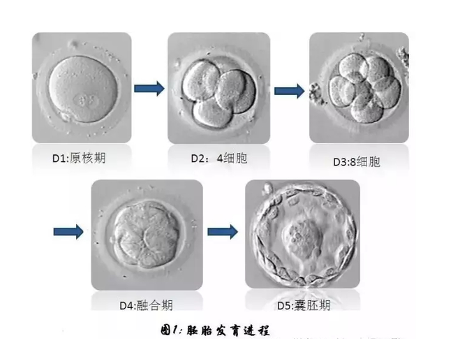 微信截图_20210528164117.png