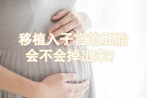 做试管婴儿移植入子宫的胚胎会不会掉出来？