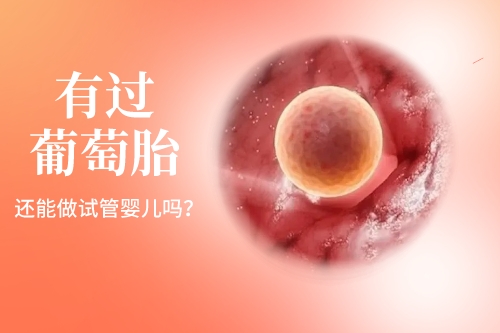 有过葡萄胎？还能做试管婴儿吗？